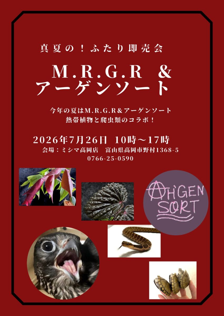 7/26 イベント開催のお知らせ
