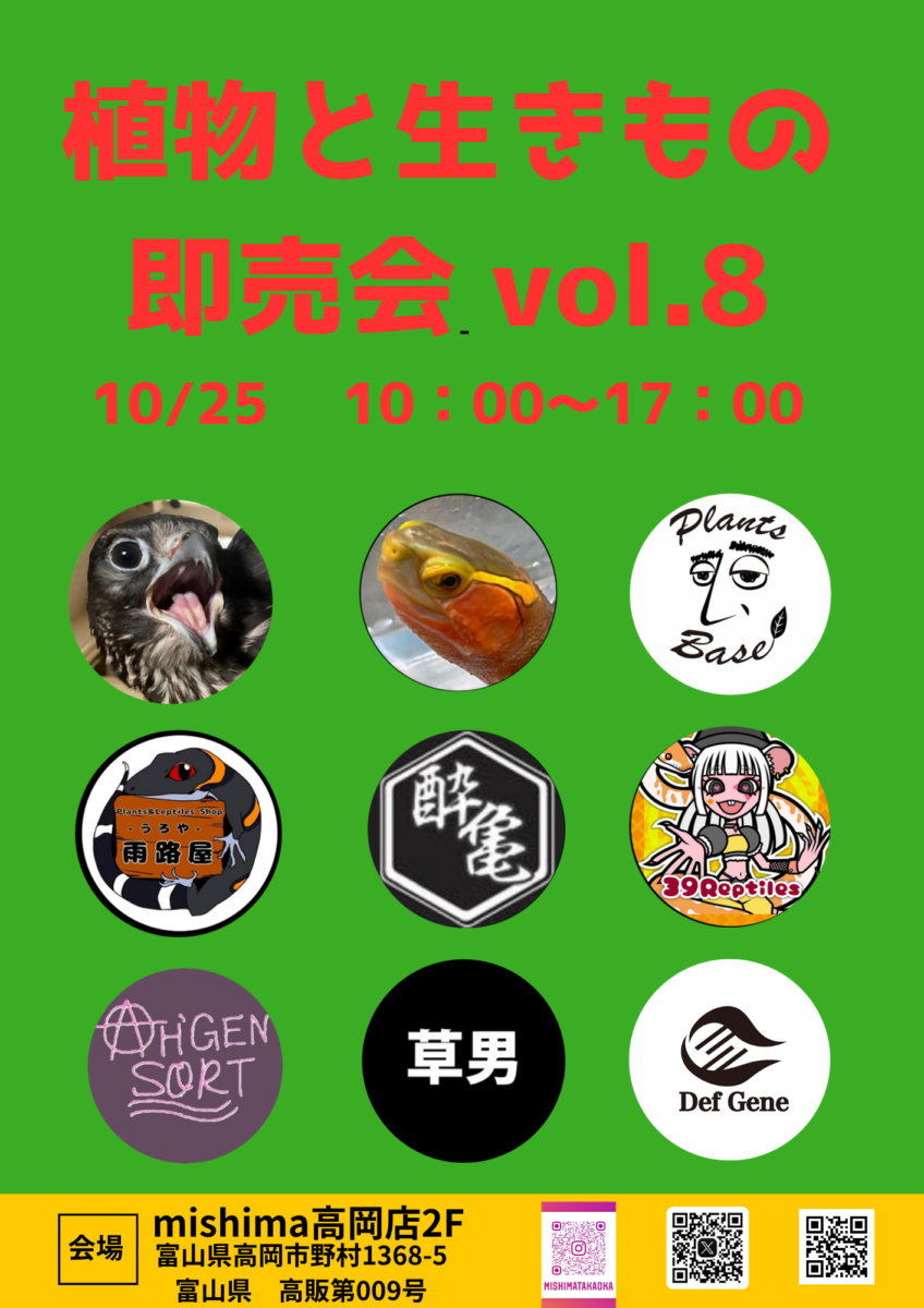 ピンポンパール