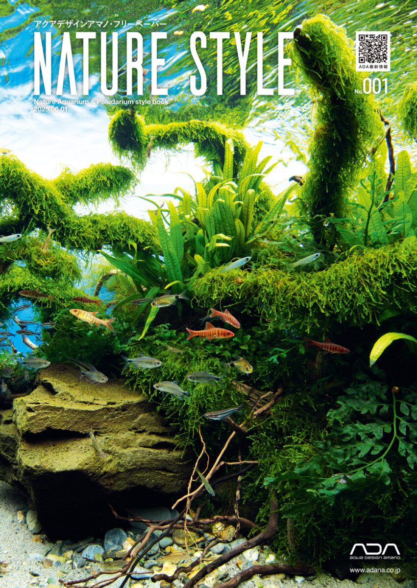 NATURE STYLE