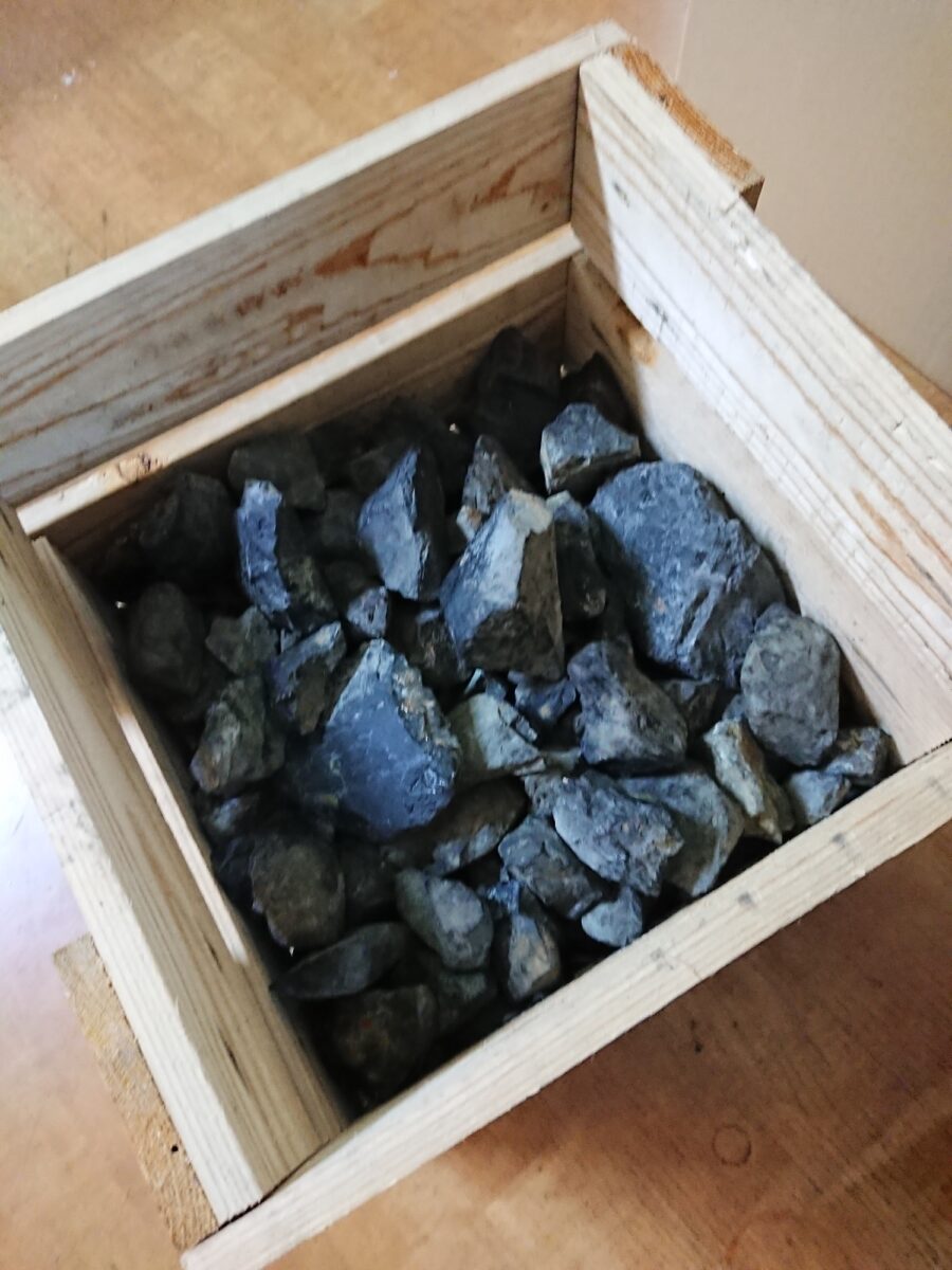 メダカとランとムシ