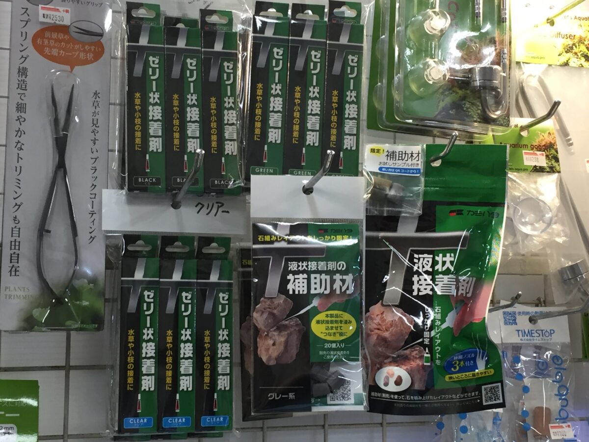 水草関連新商品！