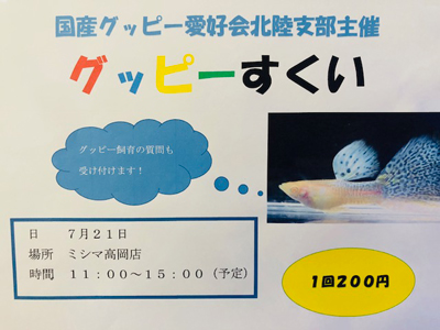 今週の新着とお知らせ