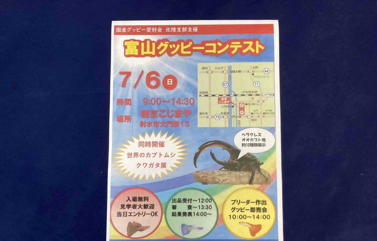 富山グッピーコンテスト開催！