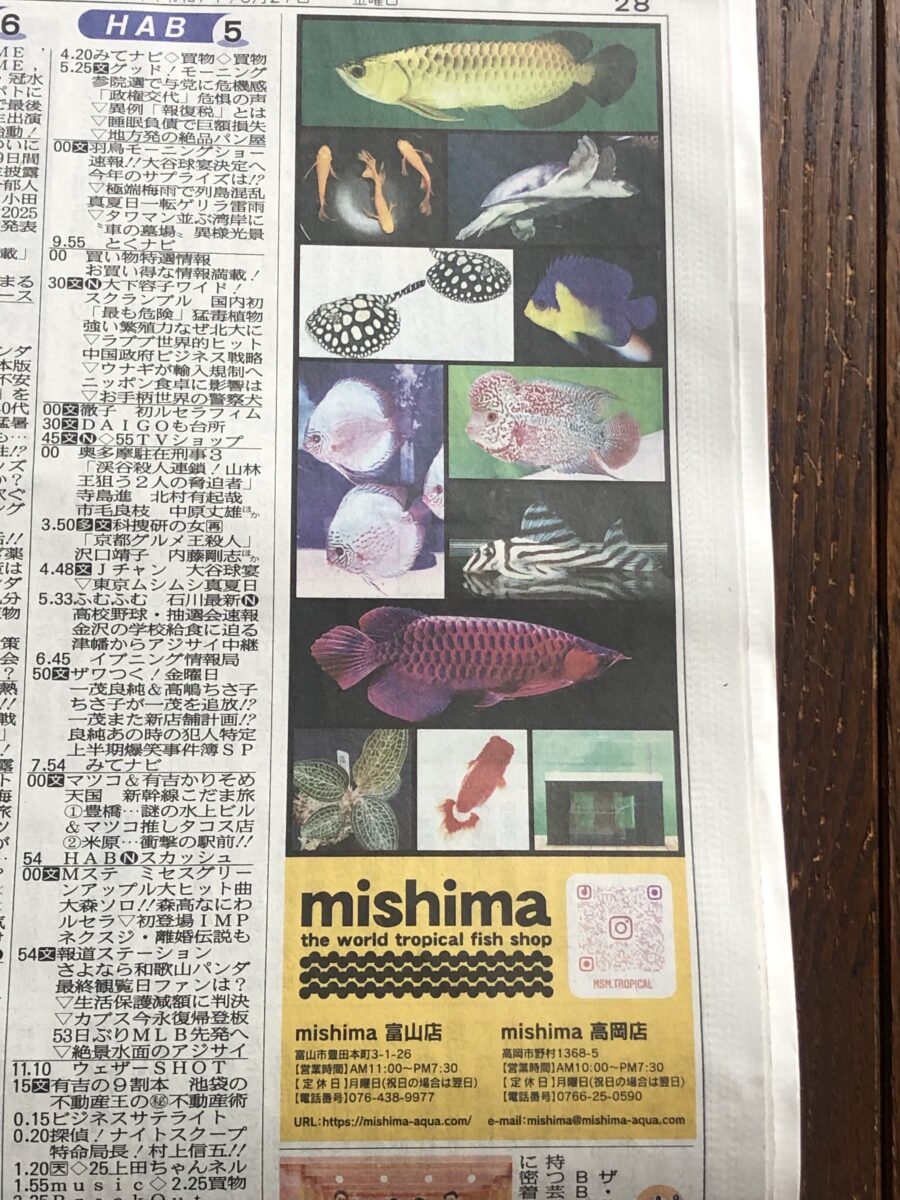 北日本新聞掲載