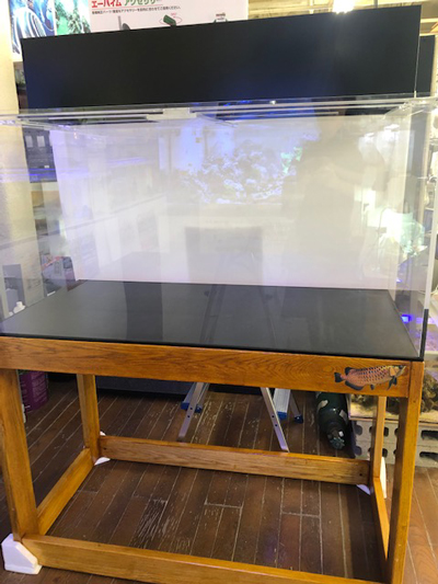 中古アクリル水槽