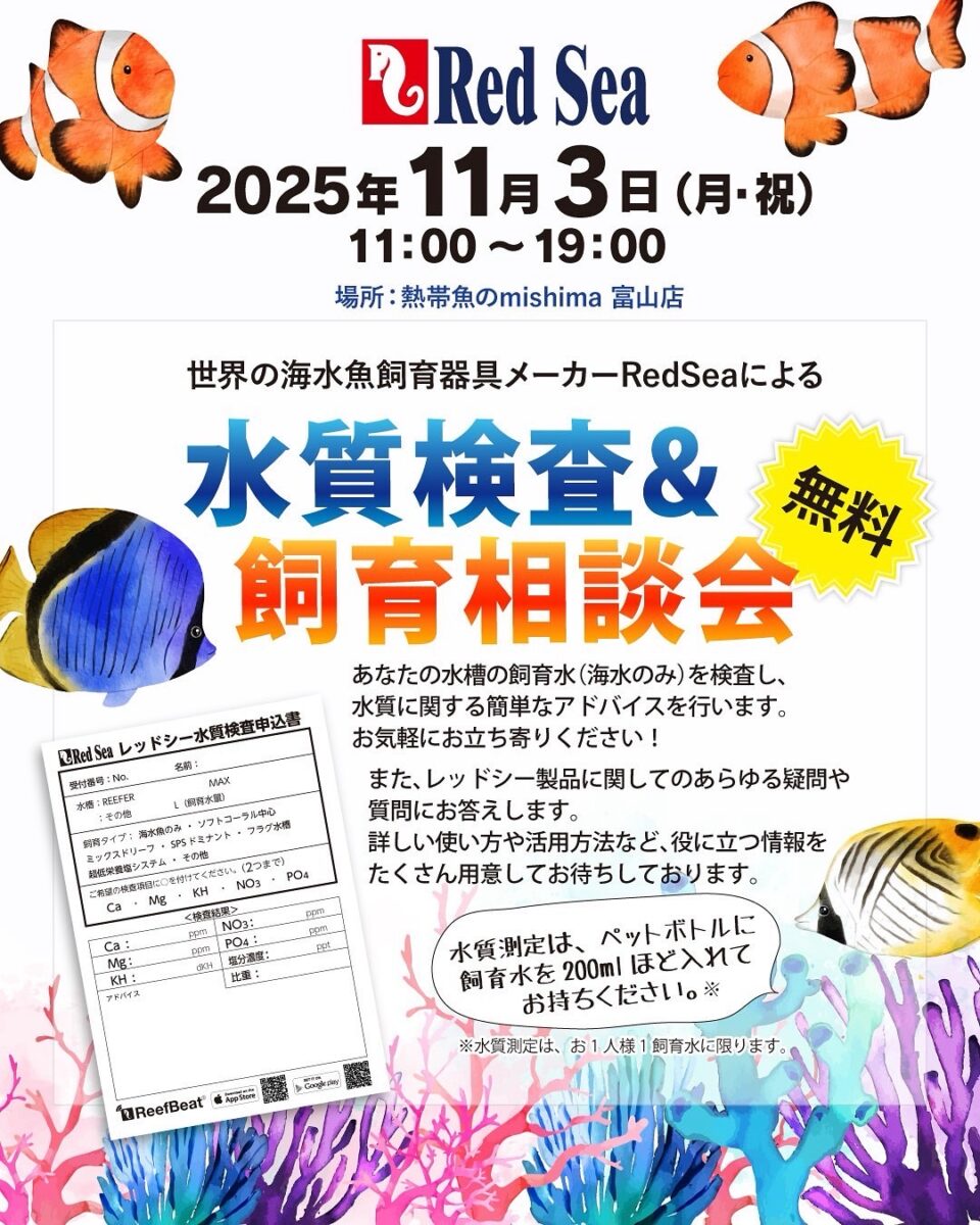 明日は海水水質測定会！