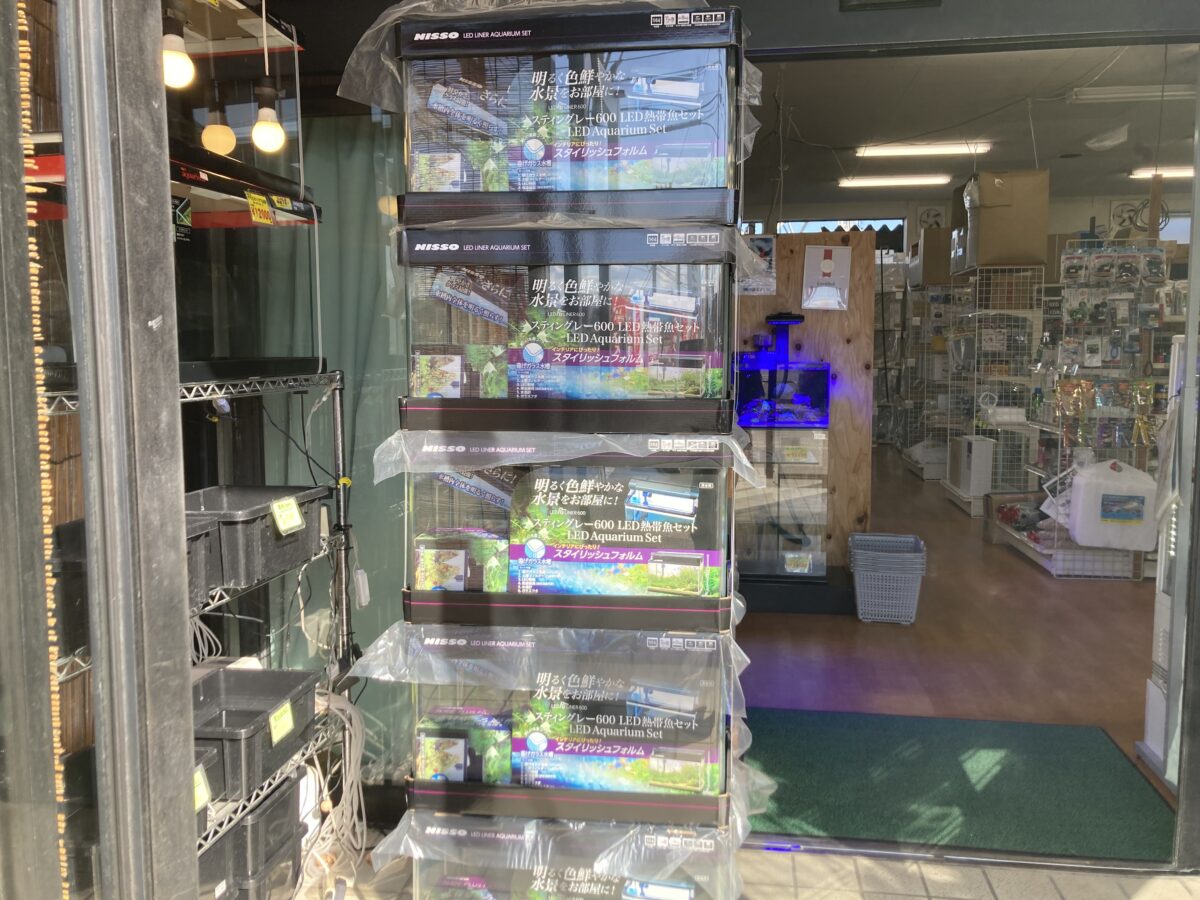 Black FridaySALE❗️