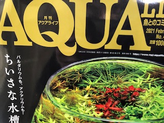 明日も営業！