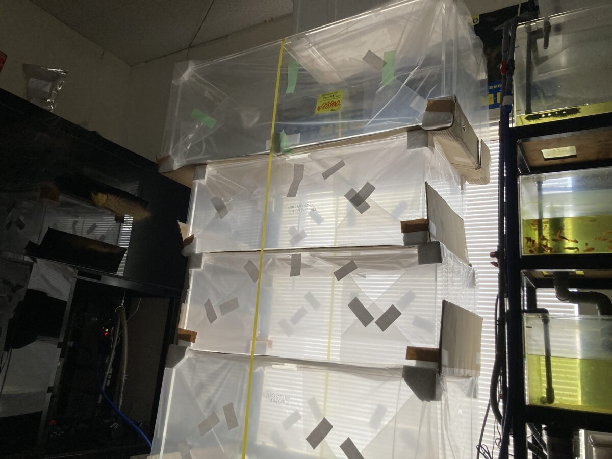 アクリル水槽即納❗️