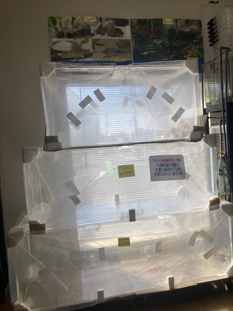 大型水槽在庫あり！