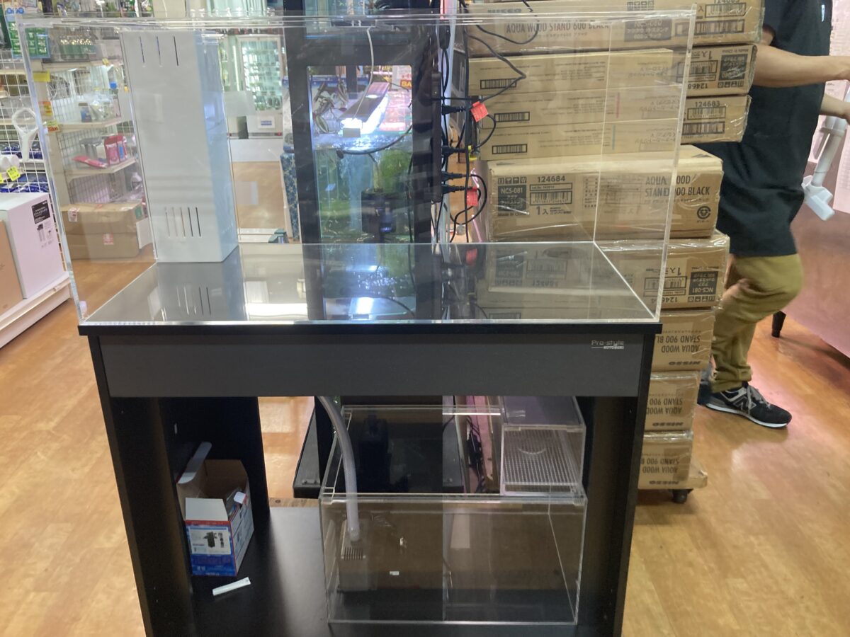 海水魚用オーバーフロー水槽