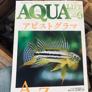 PHコントロールソイル