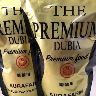 植物入荷分です。中古器具も。