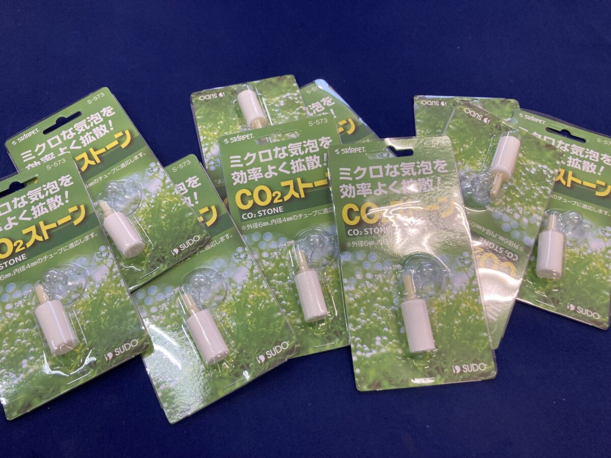 大量入荷につき大特価！