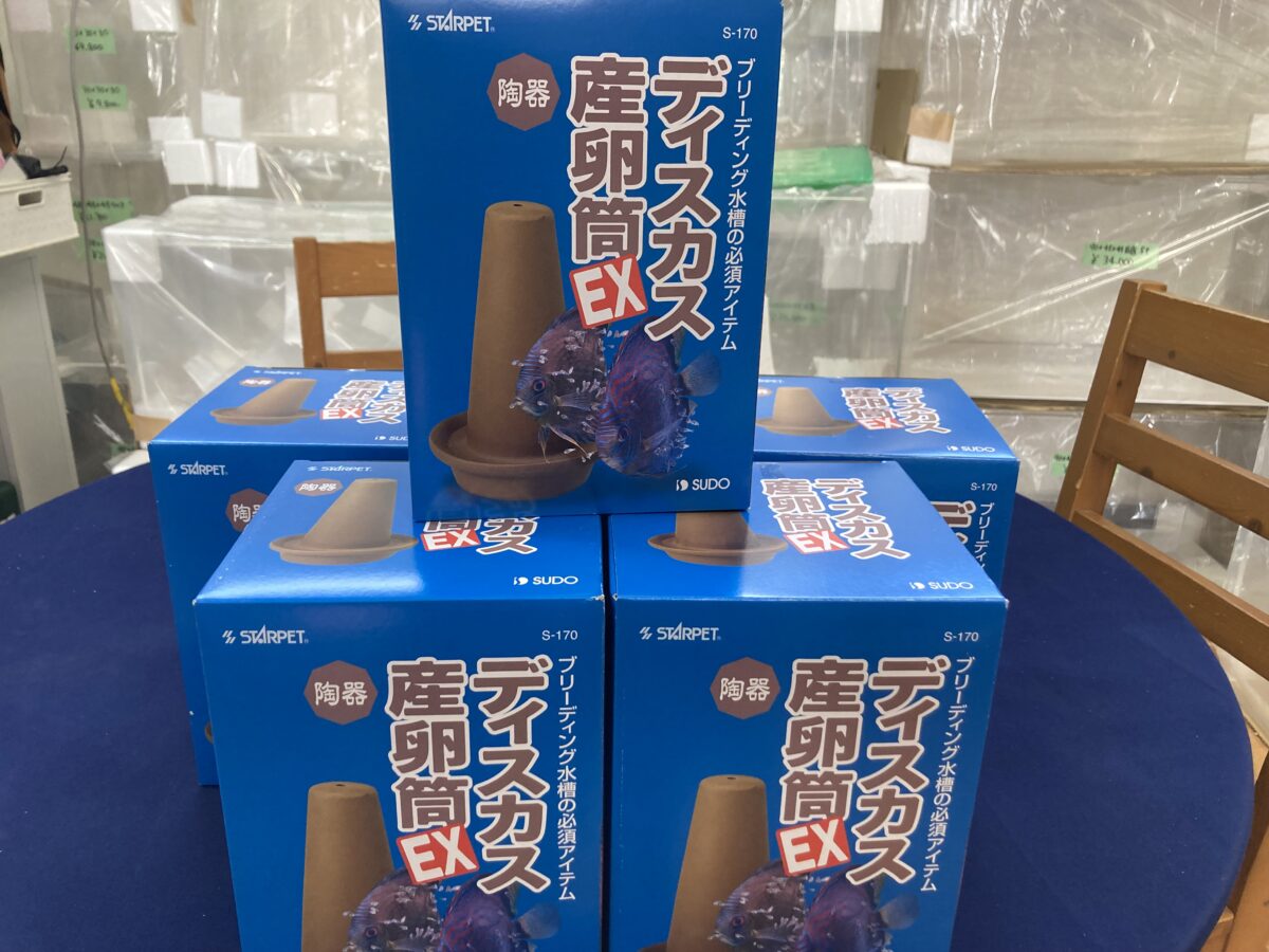 ディスカス産卵筒入荷