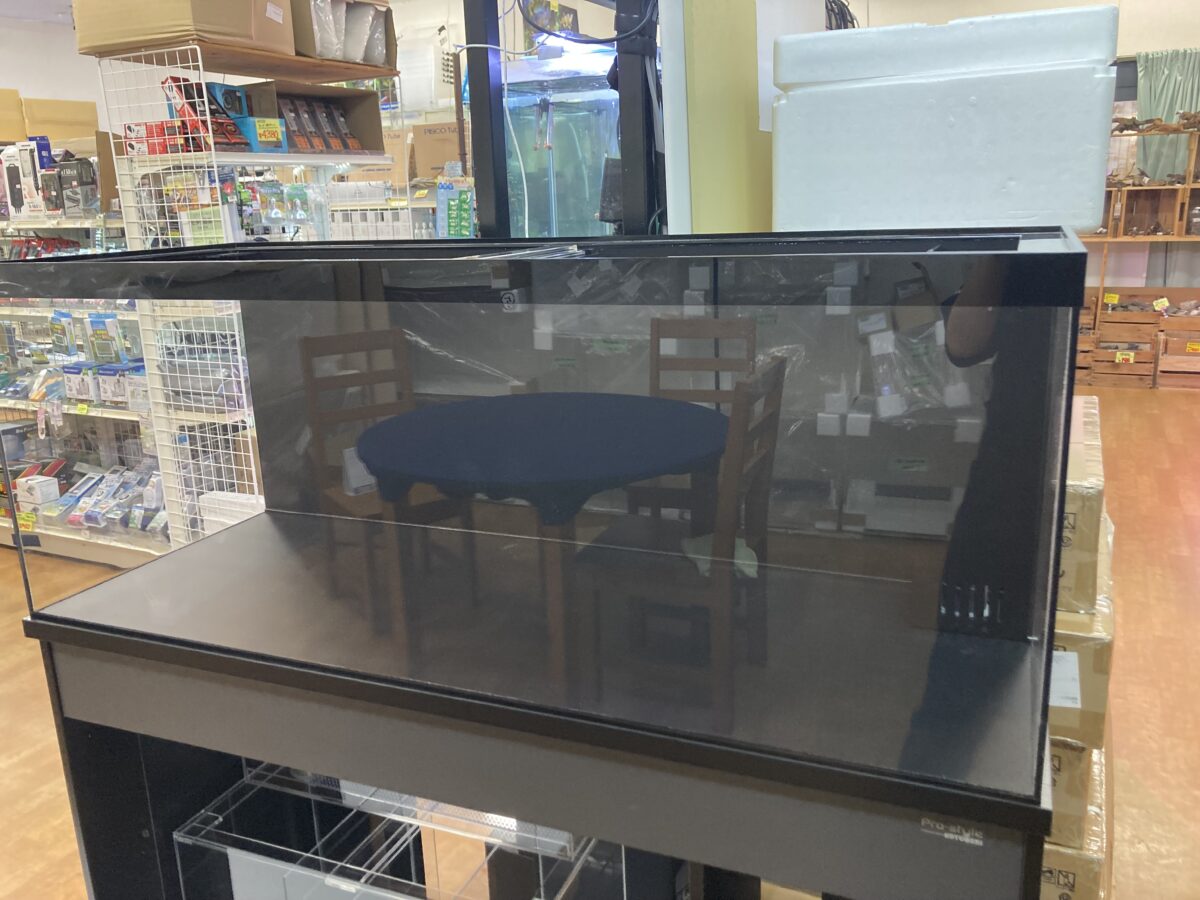 オーダメイド水槽❗️