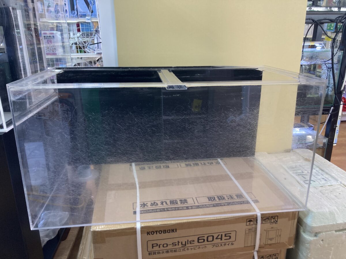中古アクリル水槽
