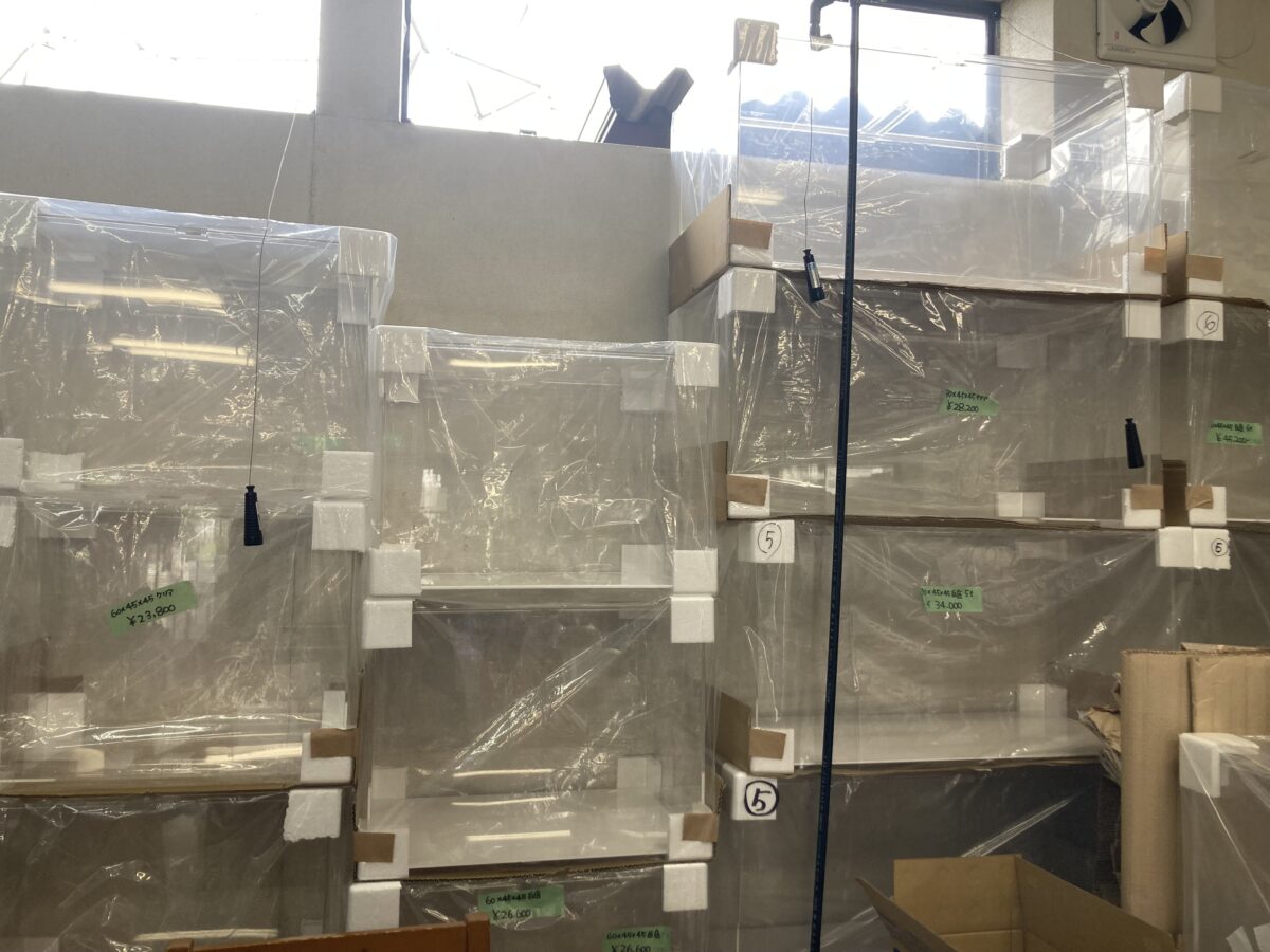 今日も水槽入荷&出荷！
