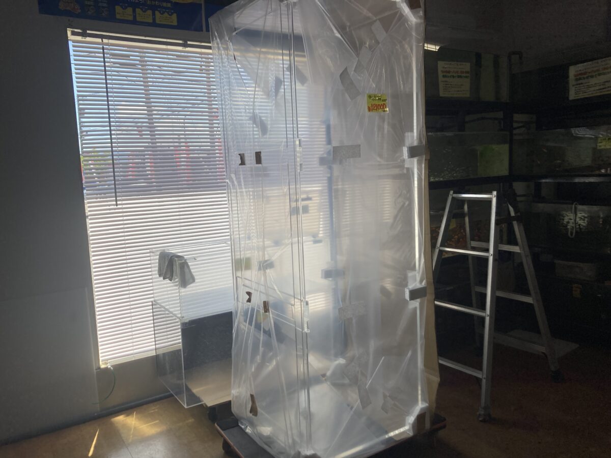 1800×600×600アクリル水槽入荷