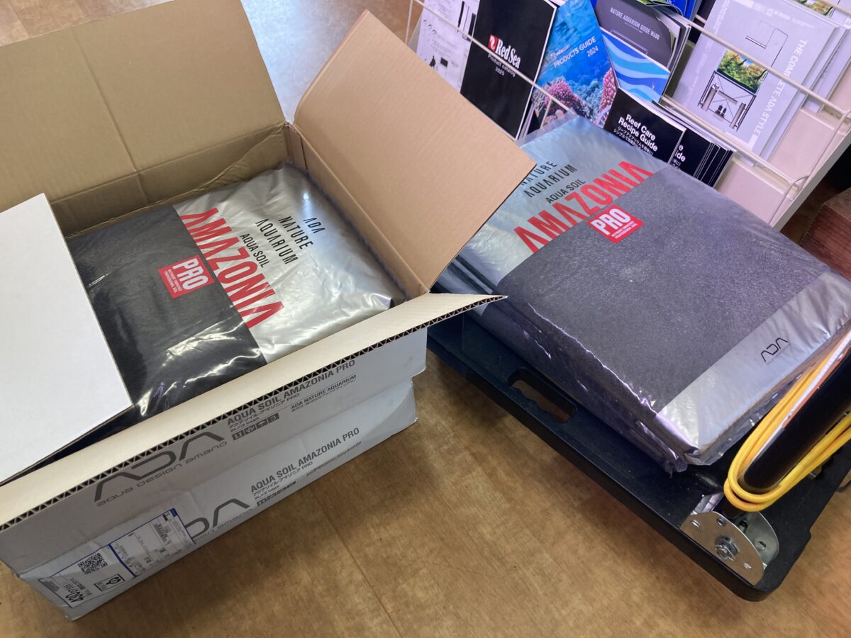 アマゾニアPRO　入荷！