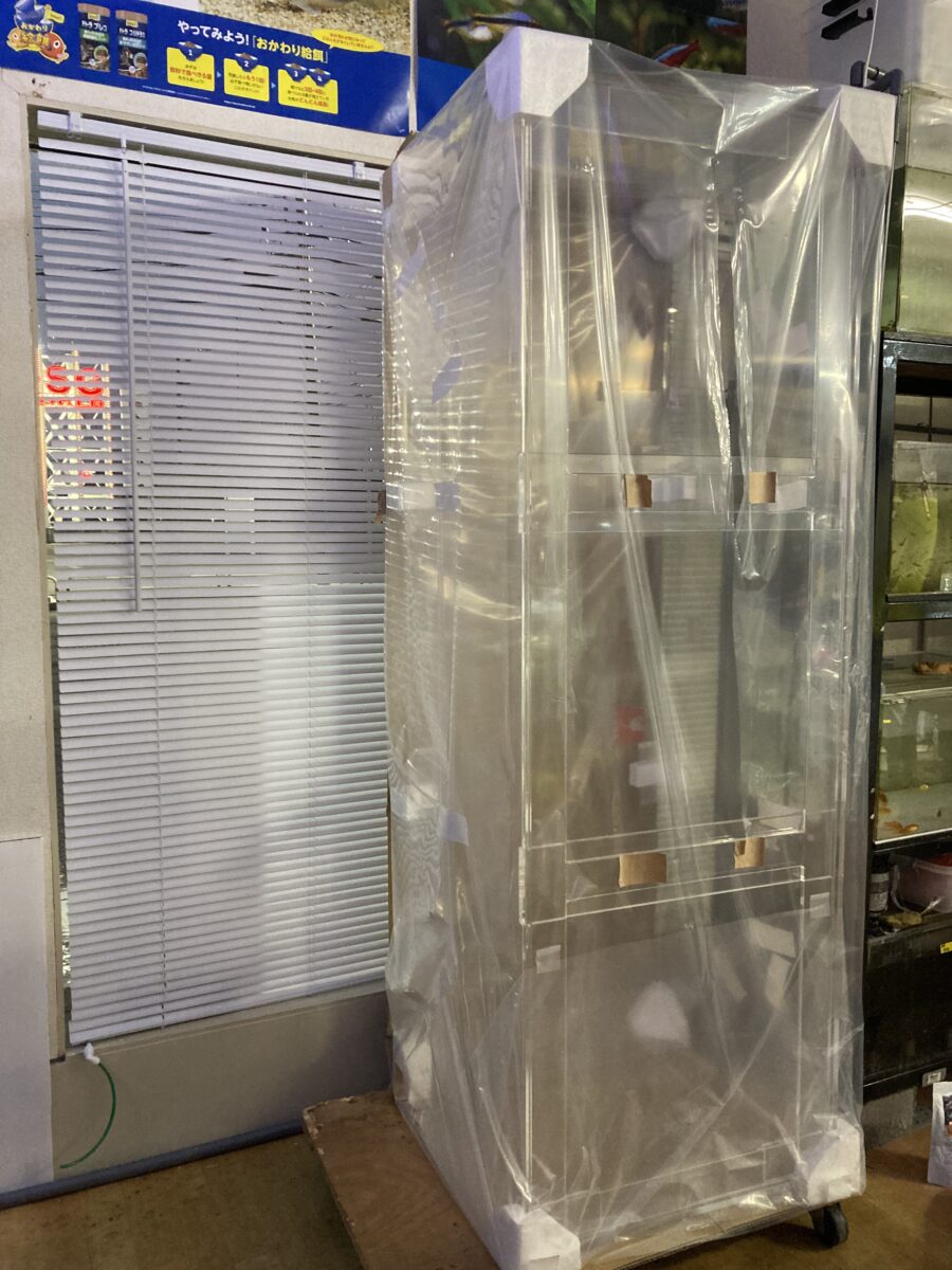 1800×600×600入荷！