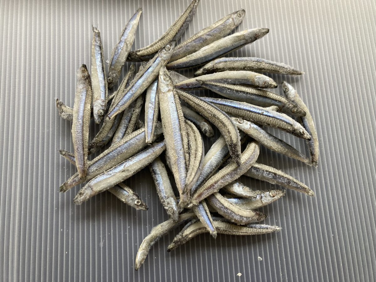 キビナゴ欠品解消