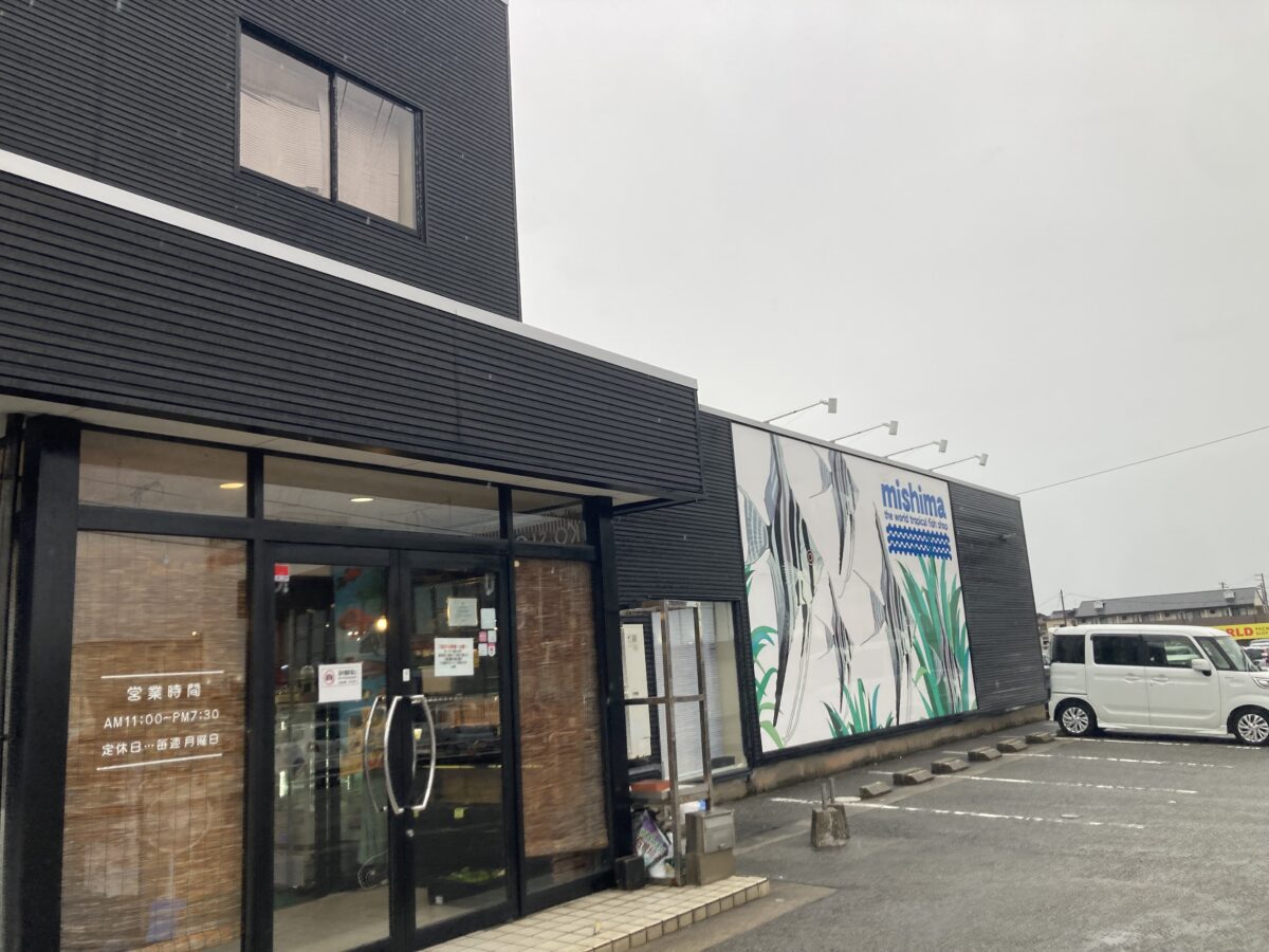 ご心配ありがとうございます！