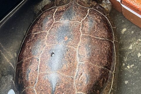 99230