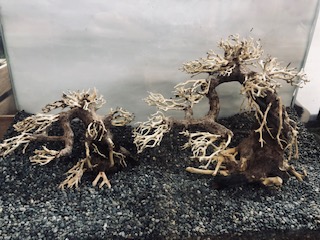 フィッシュボーン