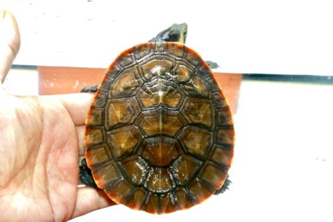 95901