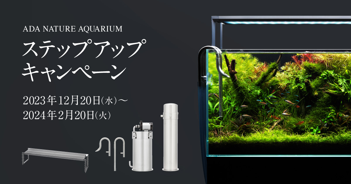 ADA 60P   関連用品一式ADAライトスクリーン60